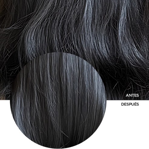 Revox Plex N.5 Bond Care Conditioner 260 ml -Acondicionadores -Revox B77