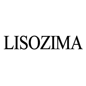 Lisozima